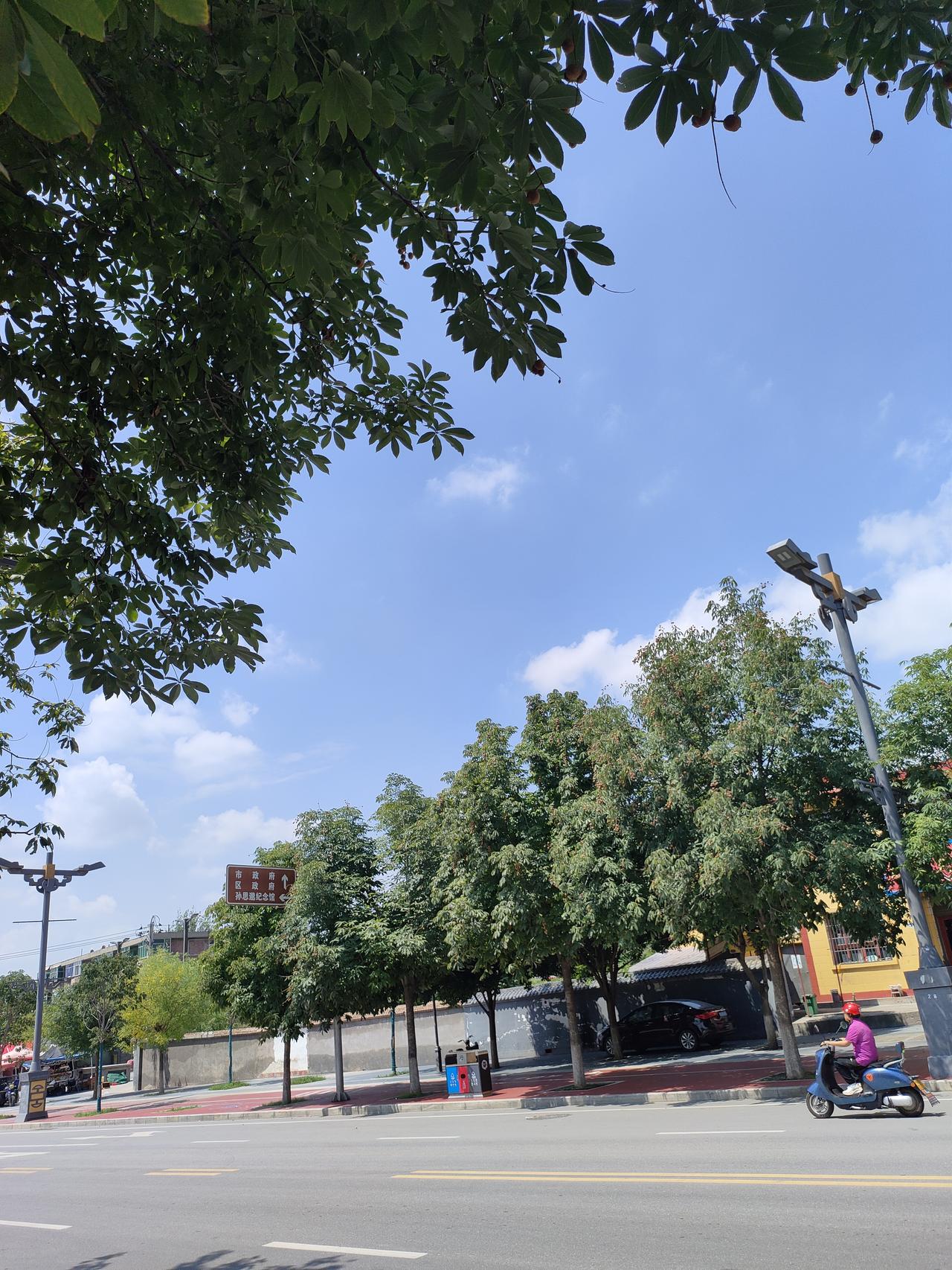 ​
2. 走在城市街头，枝叶繁茂，云卷云舒，平淡的风景，也自有一番惬意。