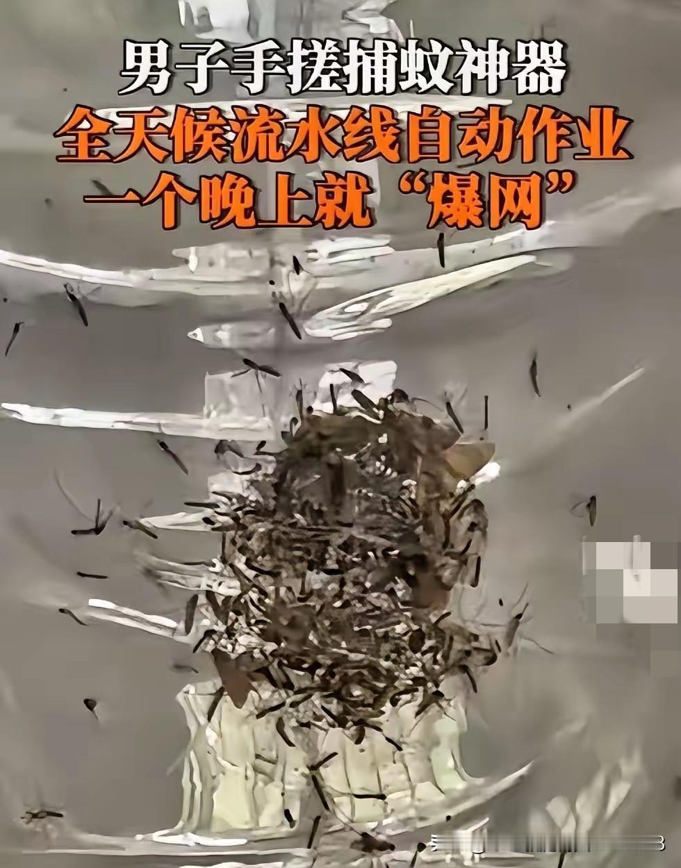 福建，一男子被村里的蚊子叮的不胜其烦，于是灵机一动，靠着风扇加紫光灯，自制一个捕