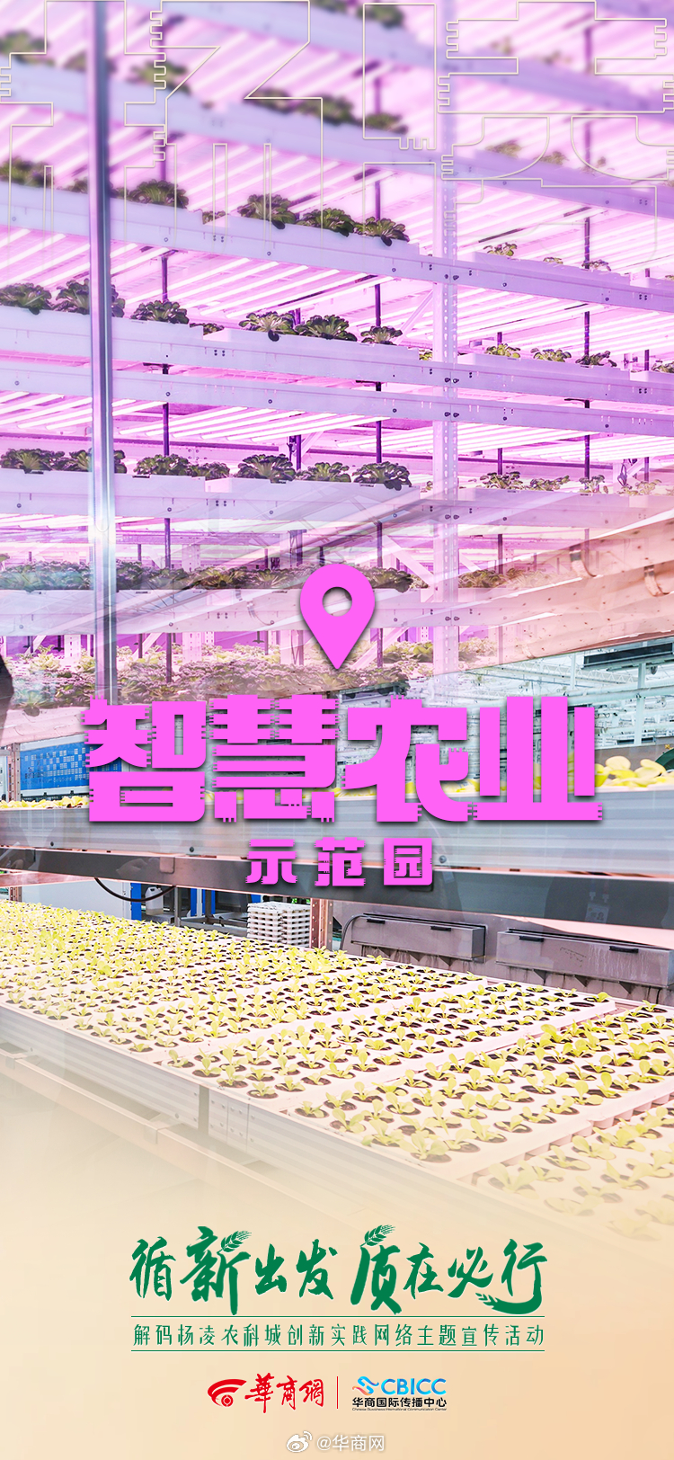 #解码杨凌农科城创新实践# 10月24日-26日媒体团行走杨凌示范区沉浸式感受第