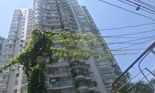 【呼和浩特小区23部钢绳被割断险酿血案，37岁男女落网，业主炸锅】“钢绳上全是齐