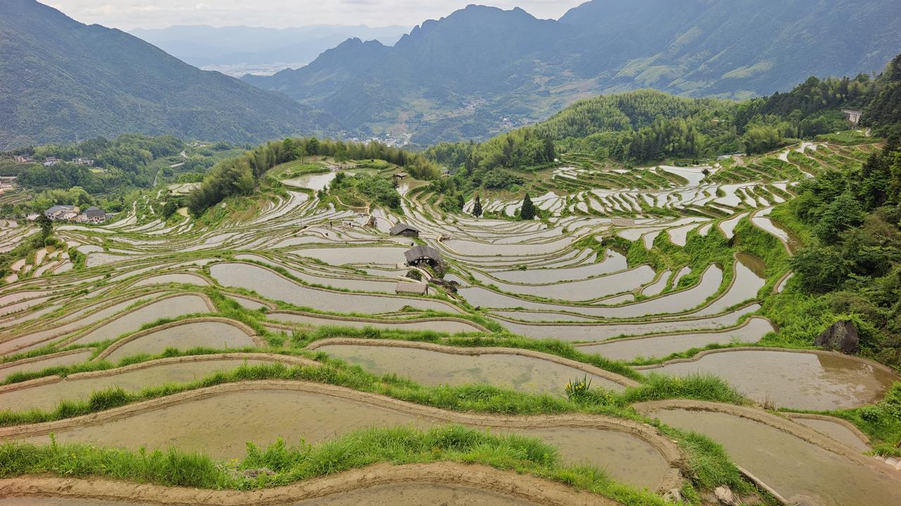 和小胖来到了云和梯田，景区位于浙江丽水云和县崇头镇，是国家5A级景区（2024年