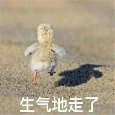 一些实用的表情包 ​​​