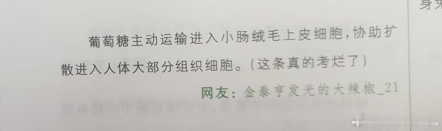 金泰亨发光的大辣椒不仅热爱生物，还很热心 