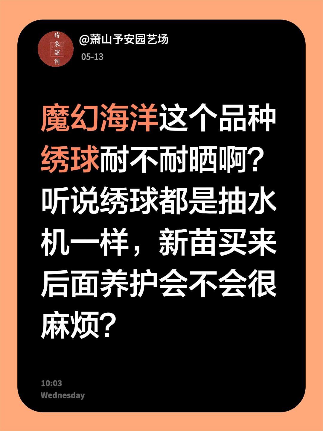 魔幻海洋好不好养？魔幻海洋这个品种绣球耐不耐晒啊？听说绣球都是抽水机一样，新苗买