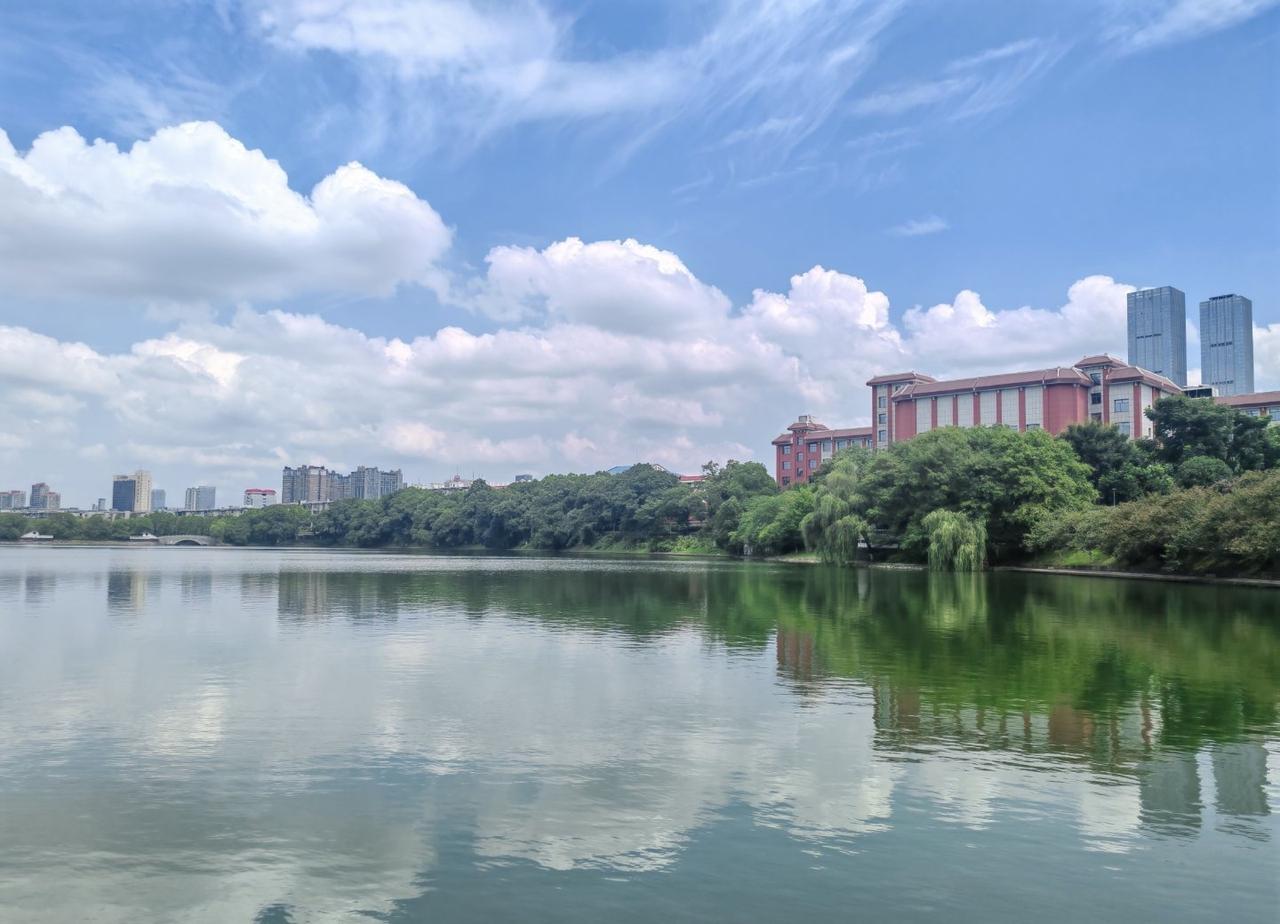 这不就是岁月静好 ​​​