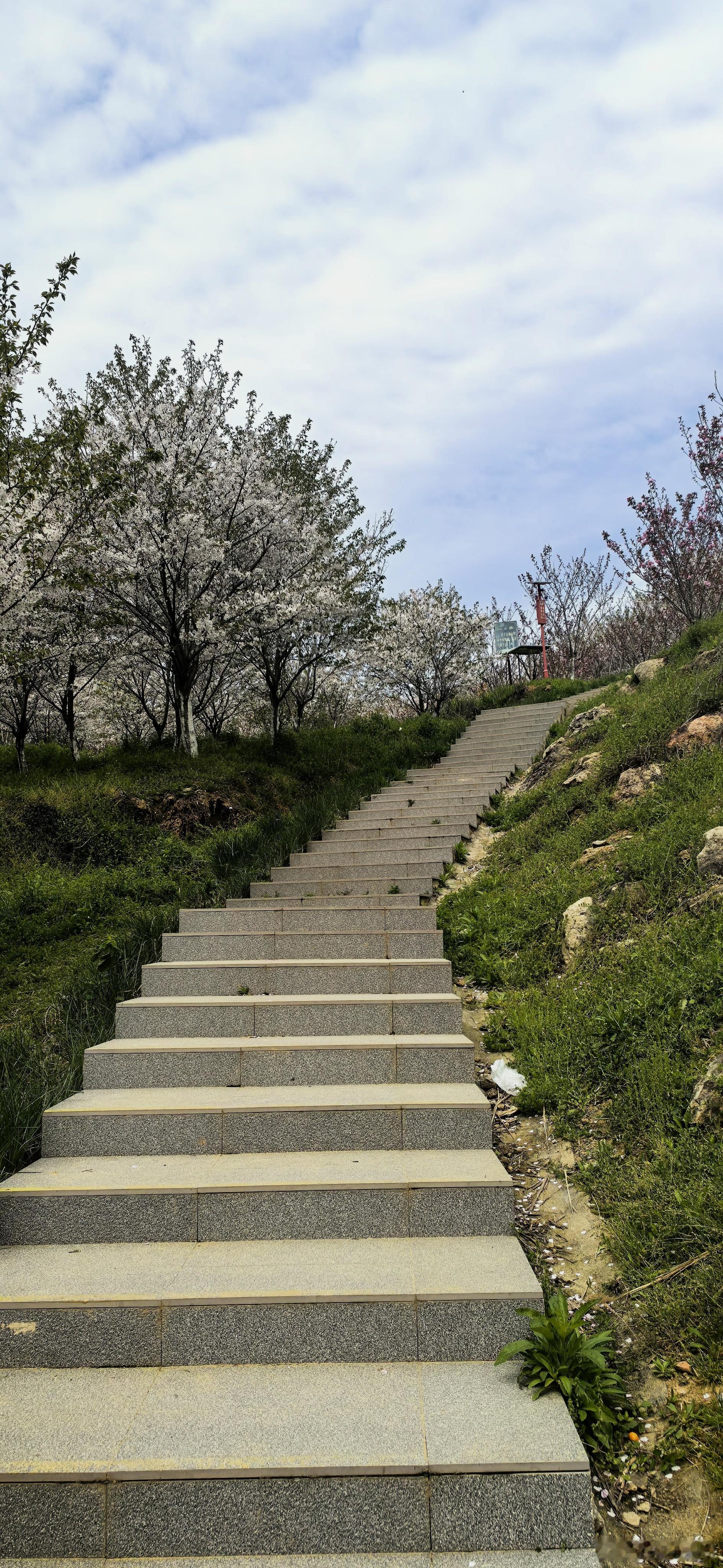 新壁纸  早安！ 