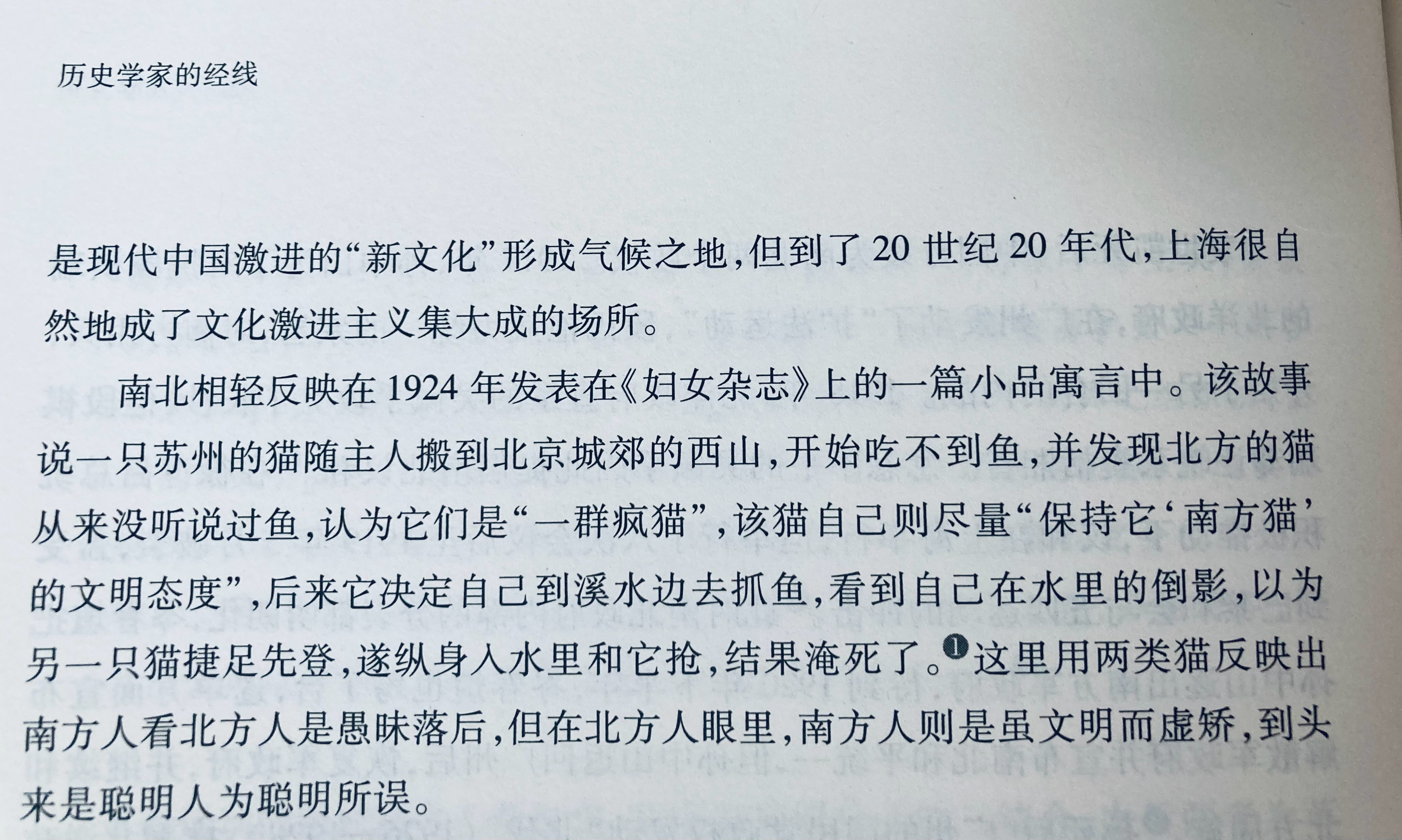 喵喵喵 