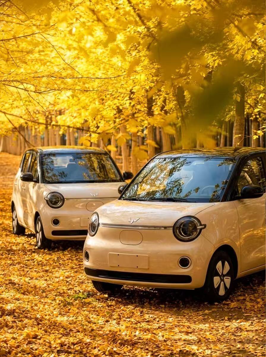 第五代宏光MINIEV内饰首发，纯电代步车变个性盲盒柜？
 
近日，第五代宏光M