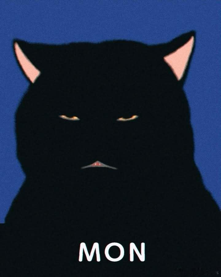 黑猫一周心情🐈⬛..cr：soonbomb 