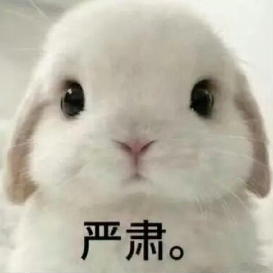 所有人叫妈妈 