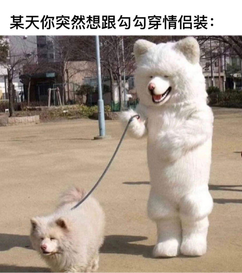 狗：显眼包#今日memes##趣过夏天# ​​​
