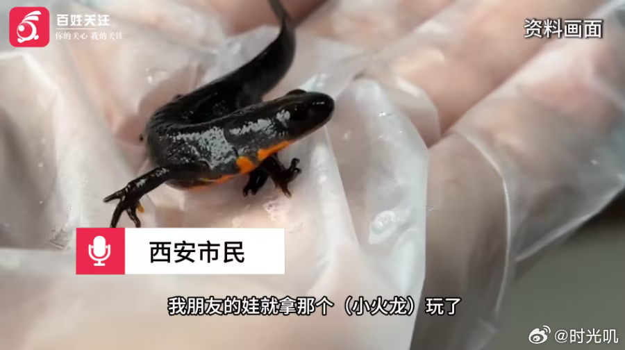 小学生校门口买小火龙后中毒3月20日，陕西西安一市民反映其朋友孩子在校门口购买“