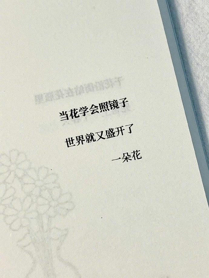 “笨蛋太笨了，才以为没人喜欢。” ——《星期六晚我们去散步吧》 
