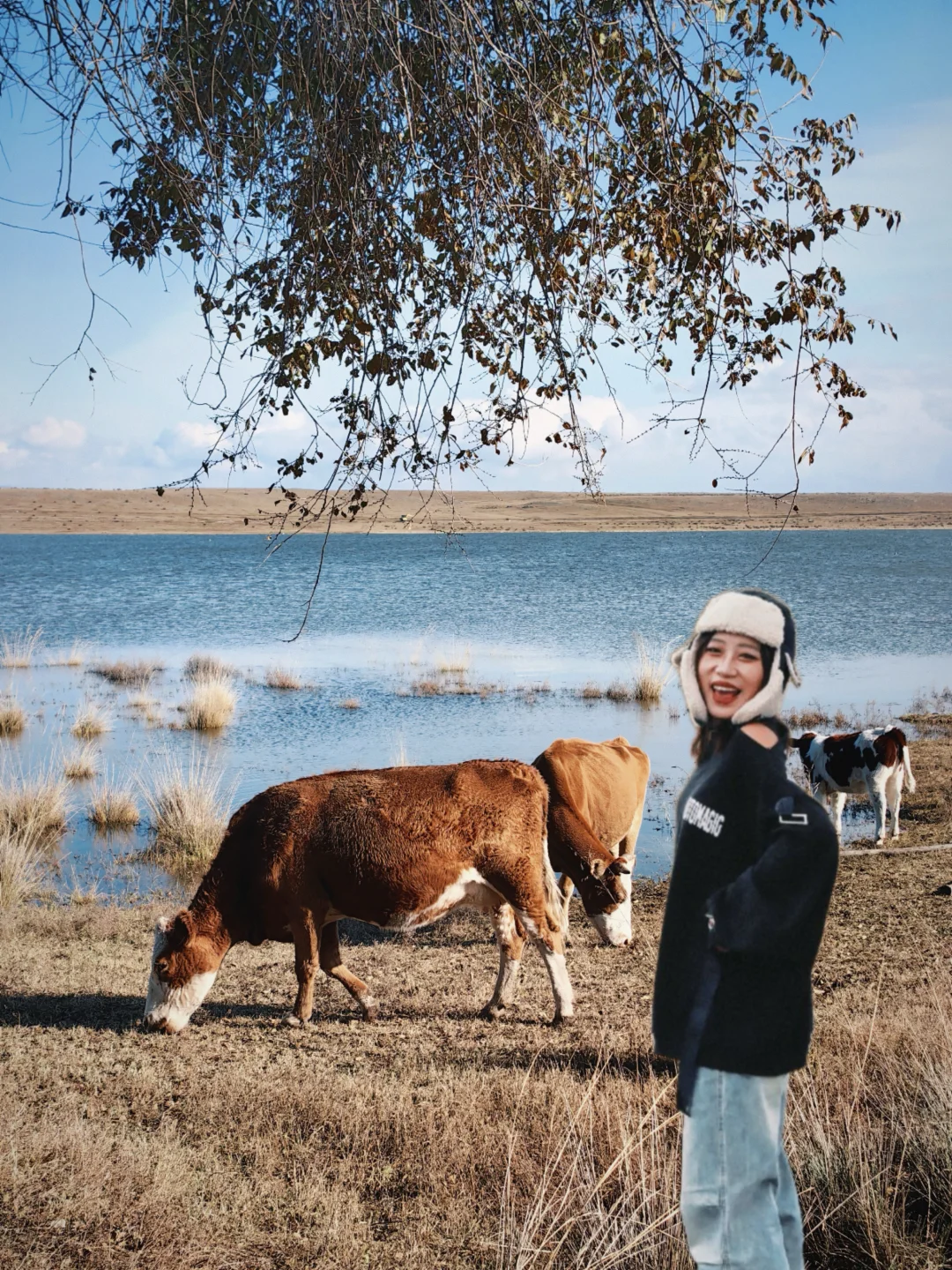 北京周末出逃计划（1/100）📍去草原上的海