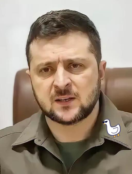 终究还是来了！

乌克兰总统宣布：

1月20日，乌克兰总统泽连斯基宣布，关乎俄