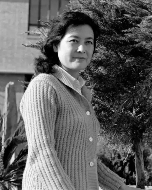 1997 年，53 岁银幕女神杨雅琴凄凉病逝，葬礼之上两任前夫全程缺席


说起