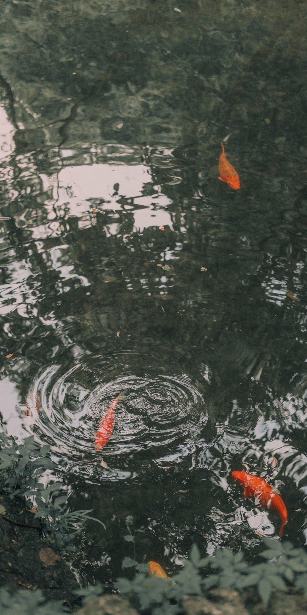 事缓则圆，人缓则安，语迟则贵。丨曾国藩 