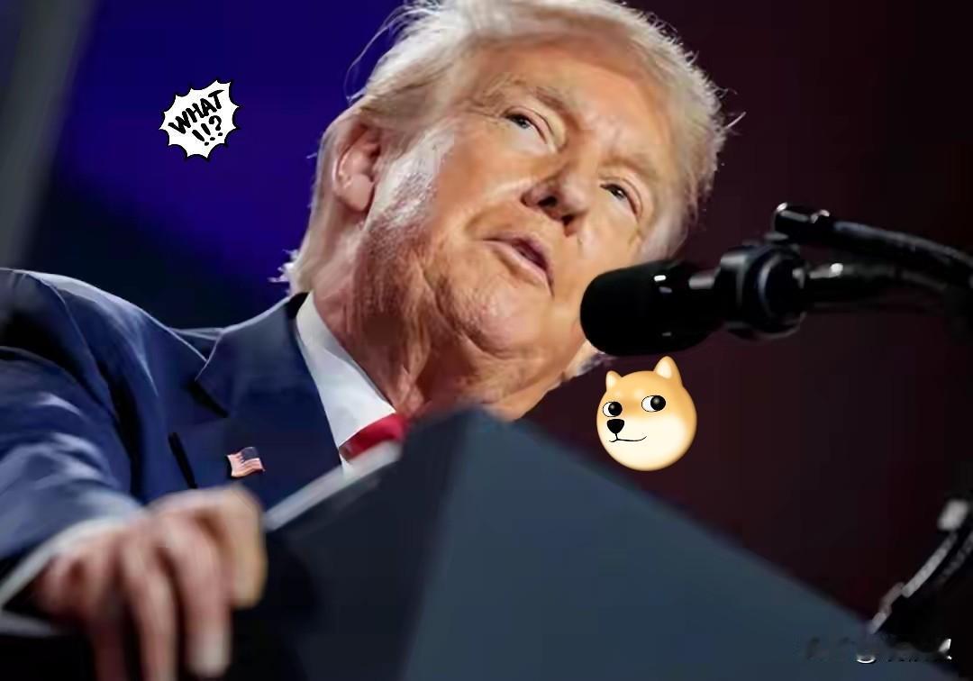 快讯！快讯！
九三阅兵前，特朗普对华撂下狠话，这次中方一点面子都没有给
 
先得