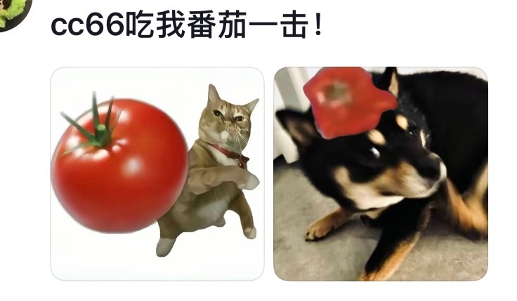 啊啊啊我不行了吧 