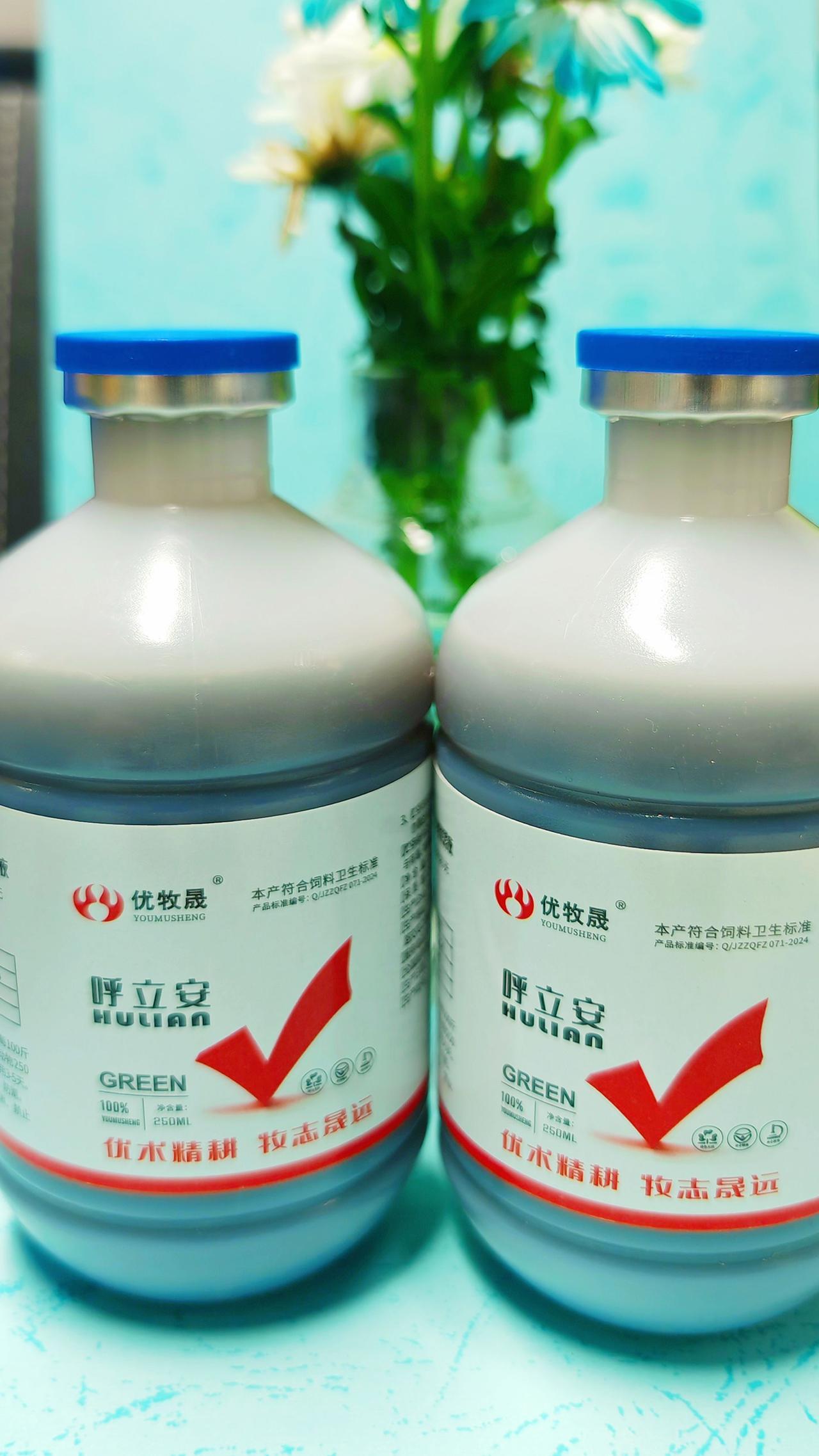 养羊人 牛羊养殖农村养羊