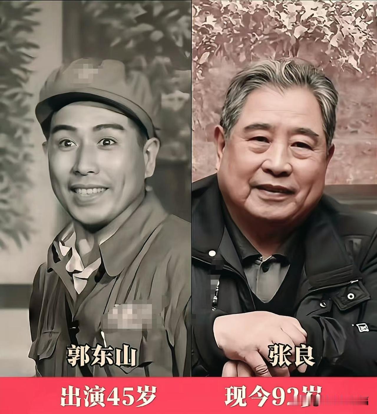 《斗鲨》扮演者，时隔多年今昔对比。
林参谋、康曼倩、郭东山、梁锋、沈虎根……当这