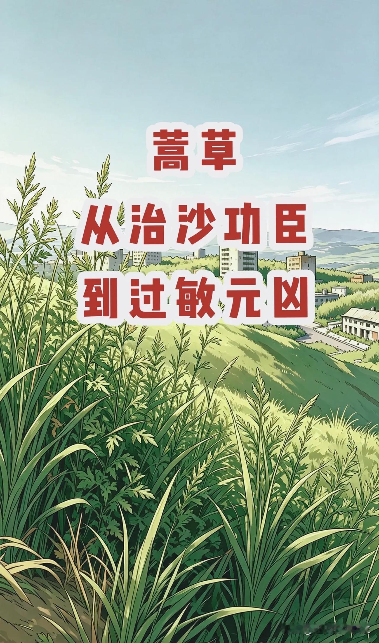 北方人秋天的“致命渡劫”：救了沙漠的蒿草，为何困住了千万过敏人？
 
🍂每到夏