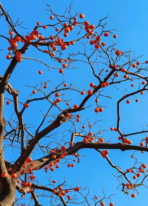 享受清晨的馈赠， 是生活中最美好的疗愈。