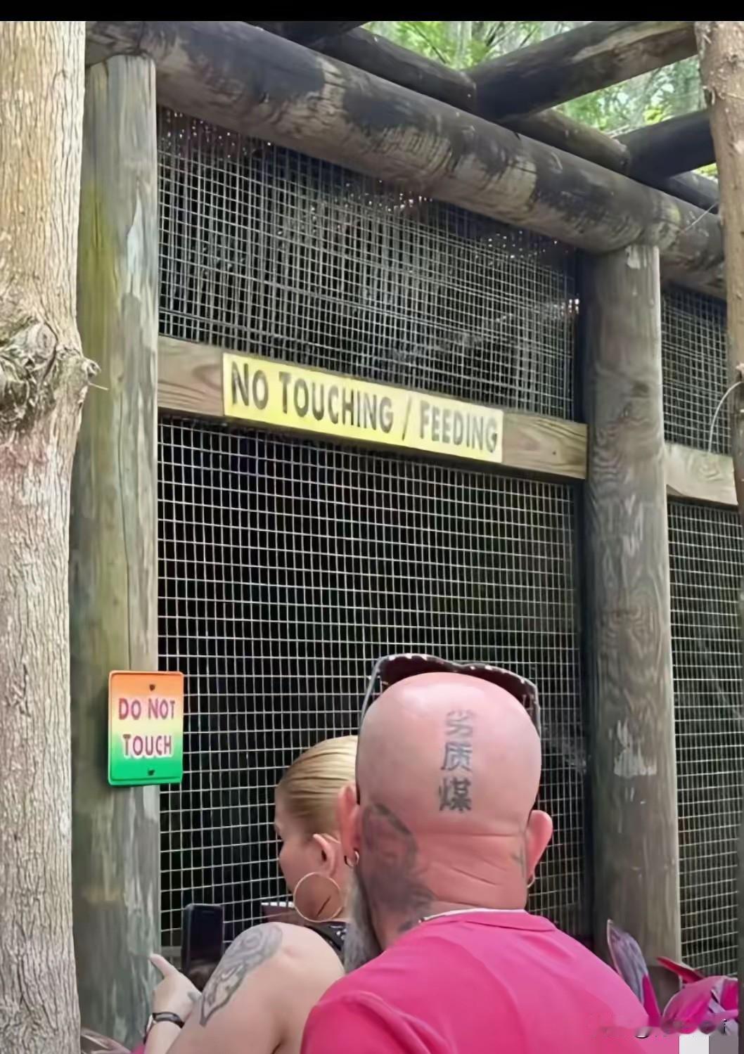 这个老外是真的不懂中文呐，竟然在头上纹了这三个字。难道纹身师也不懂中文吗？敢给他