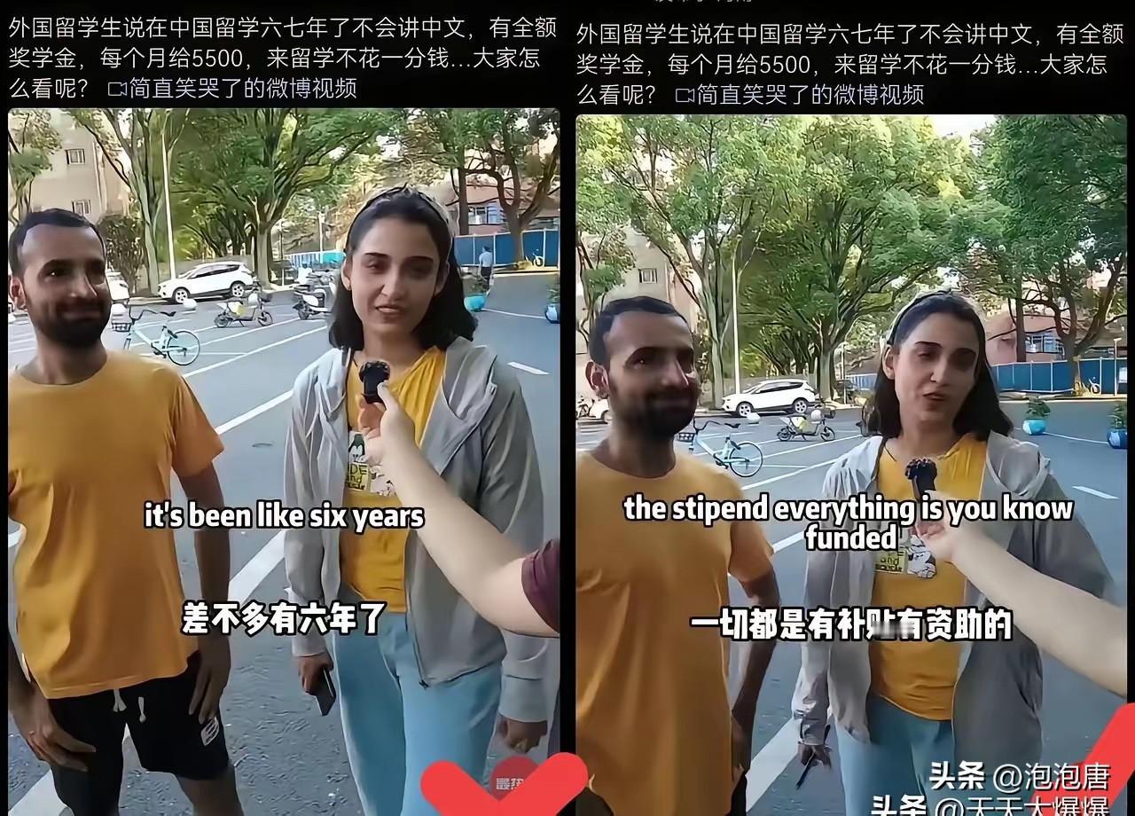 六年没学会一句完整中文，电力工程留学生一句“为啥要学中文”把网友直接点炸：原来双