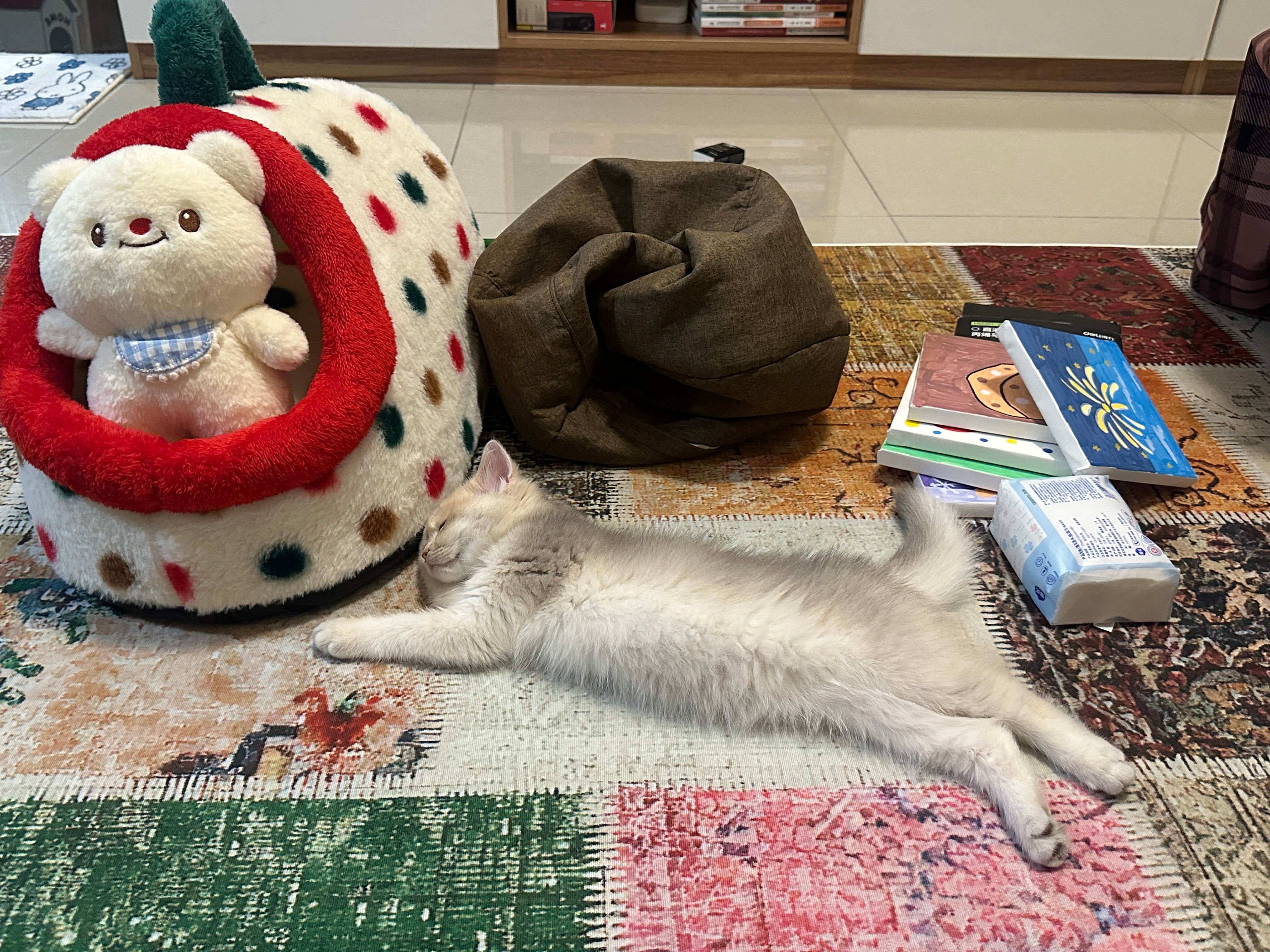 睡成猫条了。🐱 