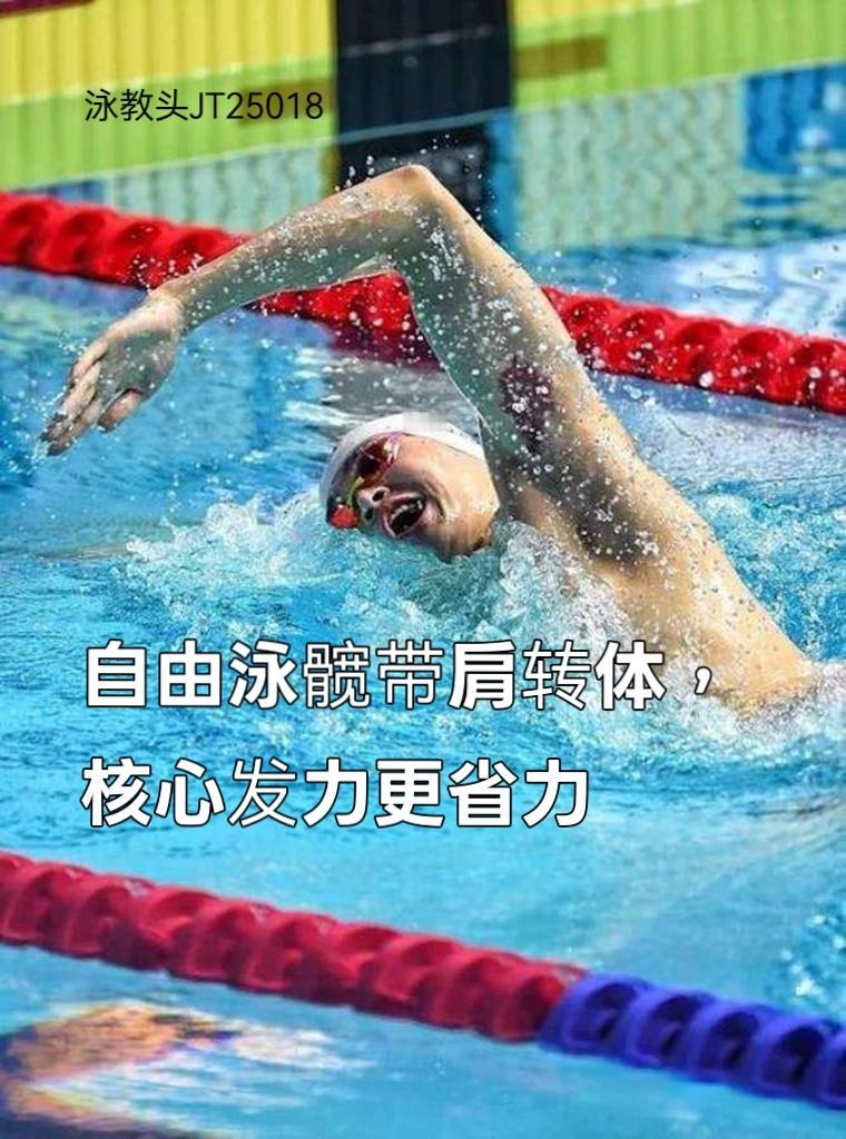 泳教头 | 泳讲堂：自由泳髋带肩转体，核心发力更省力
 
自由泳想游得轻松又快，
