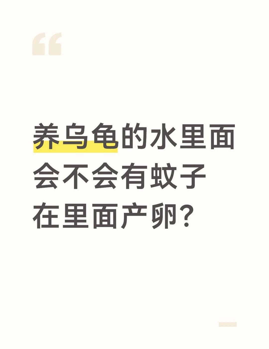 真的很怕很怕很怕这一点
我可以在乌龟缸旁边点蚊香吗？发自内心的疑问