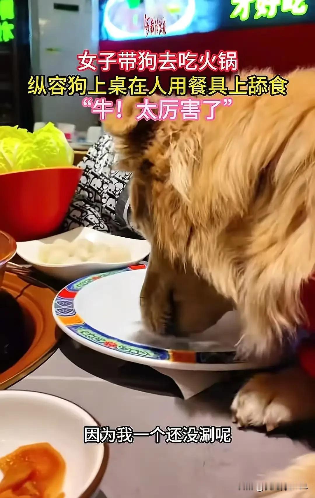 北京，一场看似普通的火锅事件，却引发了轩然大波。这不仅仅是一次吃饭那么简单，而是