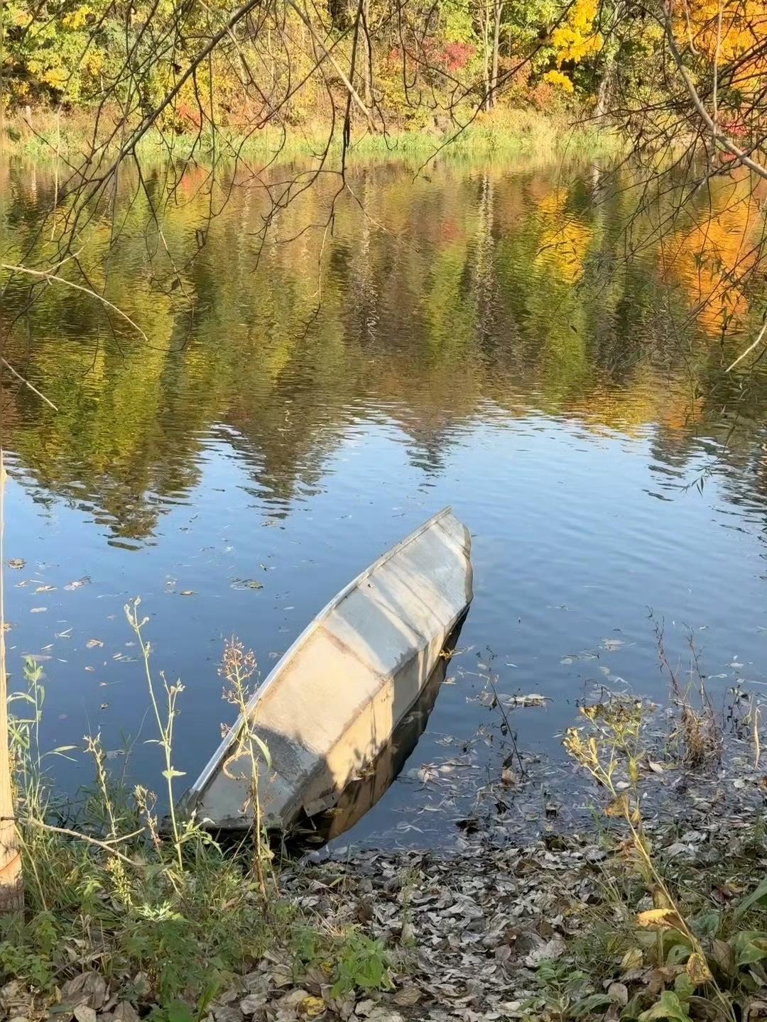 秋天真是个浪漫的季节 🍁