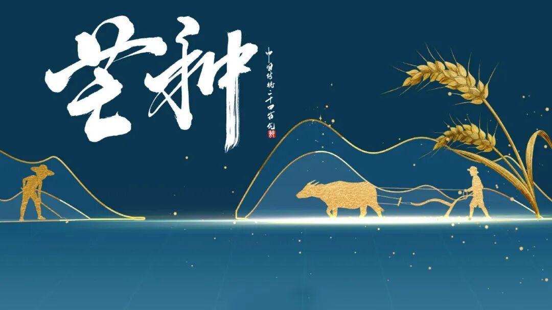 生活手记芒种，是节气，更是一种“一分耕耘，一分收获”的生活信仰。今日芒种