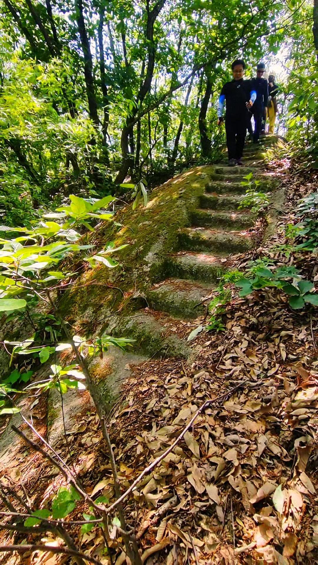 走进山林，呼吸瞬间变得清新。远离城市喧嚣，脚步也跟着轻盈起来。山石沉默却充满力量