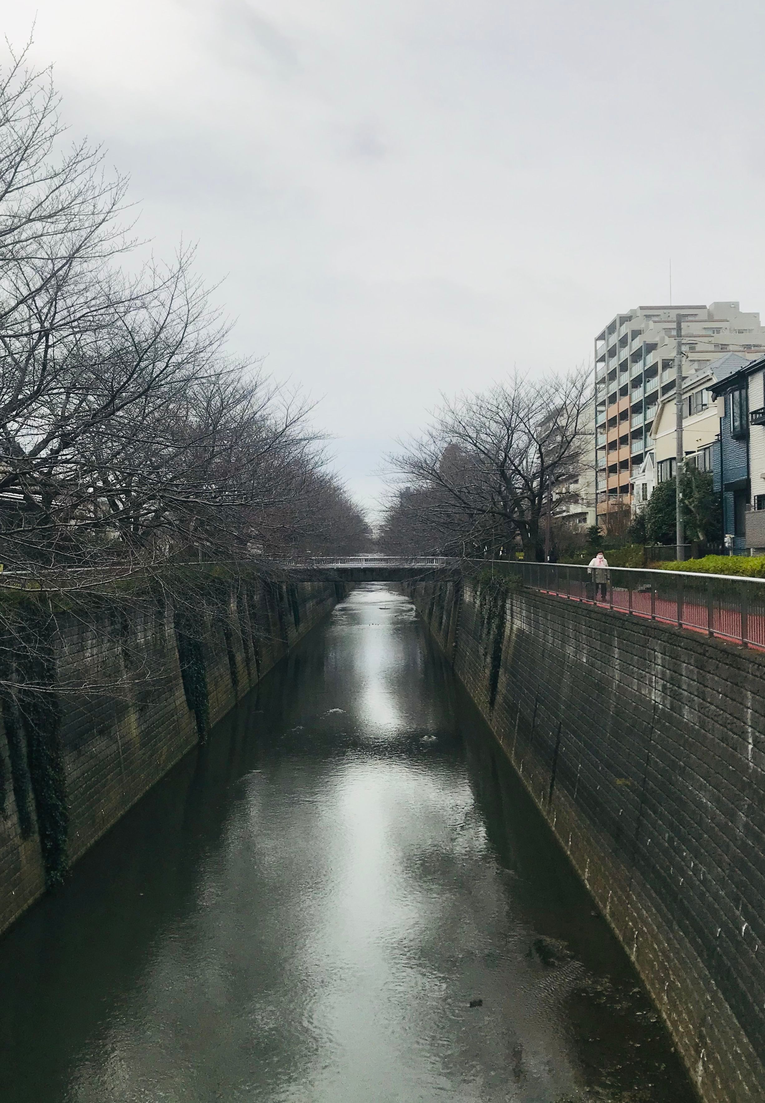 日本人告诉我，日本社会普遍有一股死气。我最近发了一些关于日本社会的文字，评论区里