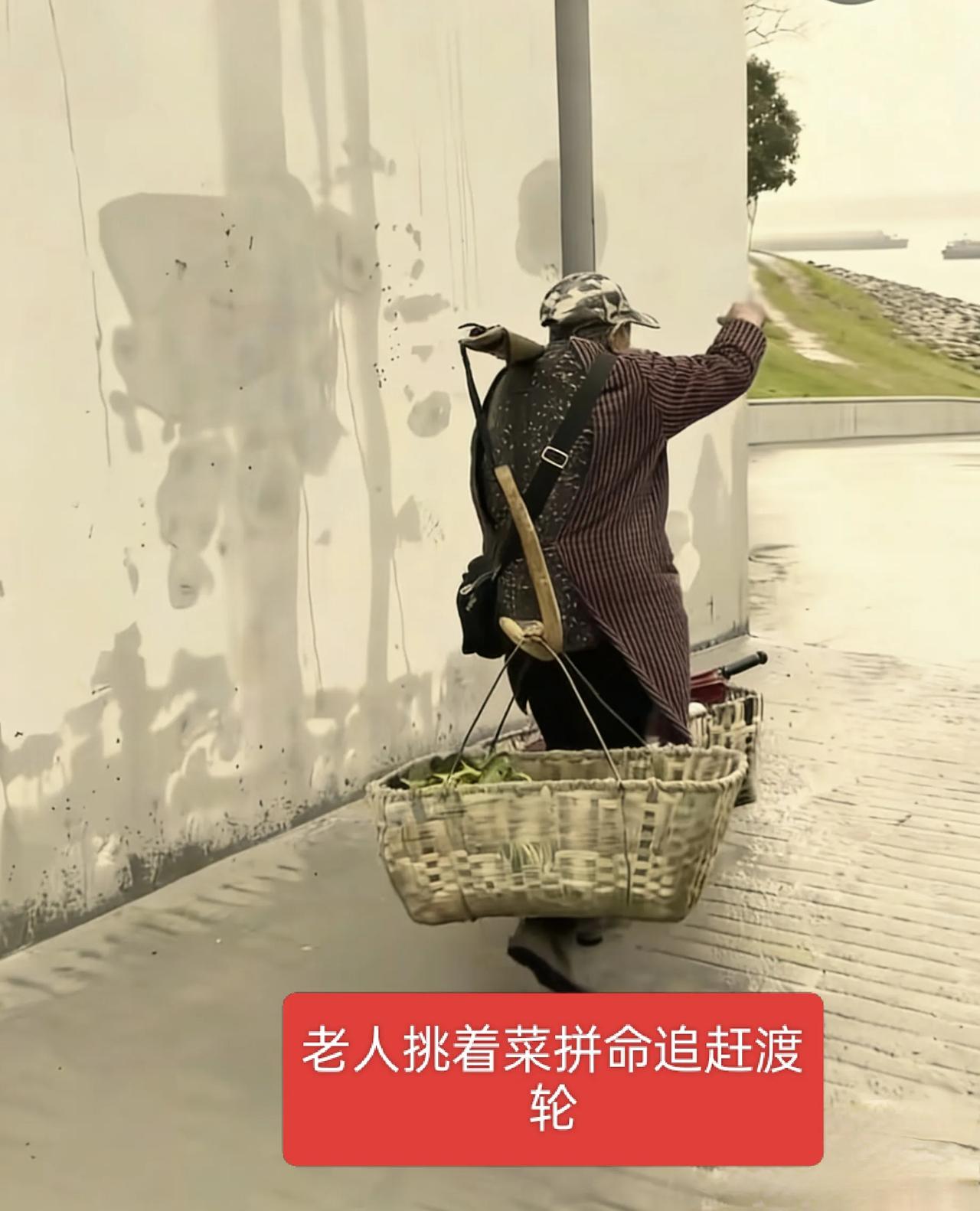 船已开出数十米，船长却为八旬卖菜老人掉头返航
 船都开出去了，换别人可能直接开走