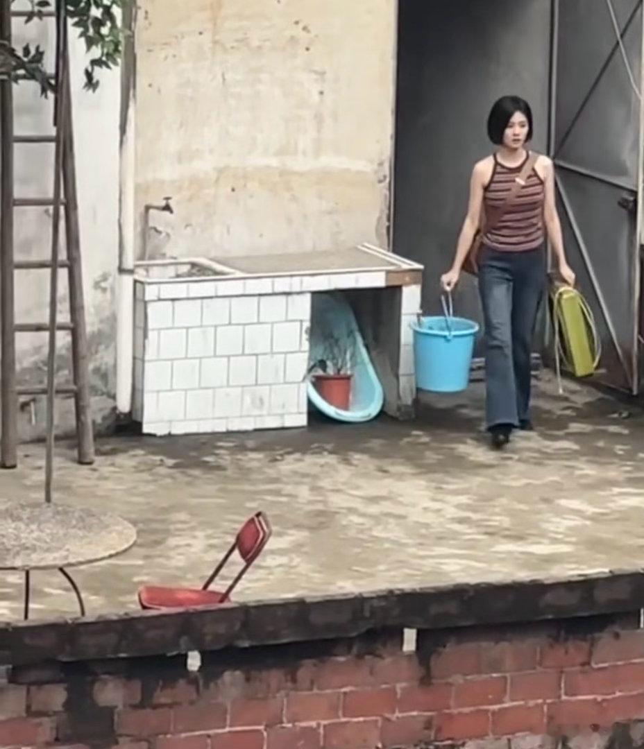 白鹿现身网友家隔壁网友在家偶遇白鹿是什么神仙运气！网友足不出户，在家隔壁就偶遇白