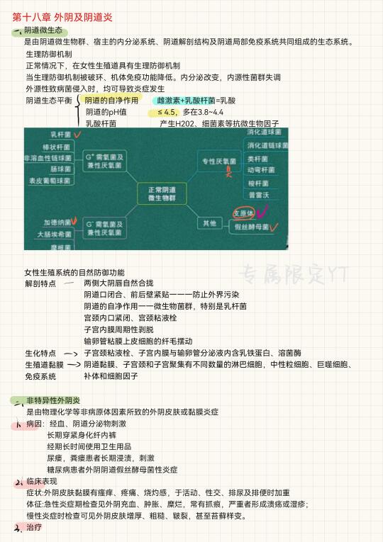 妇产科（15）-外阴及阴道炎