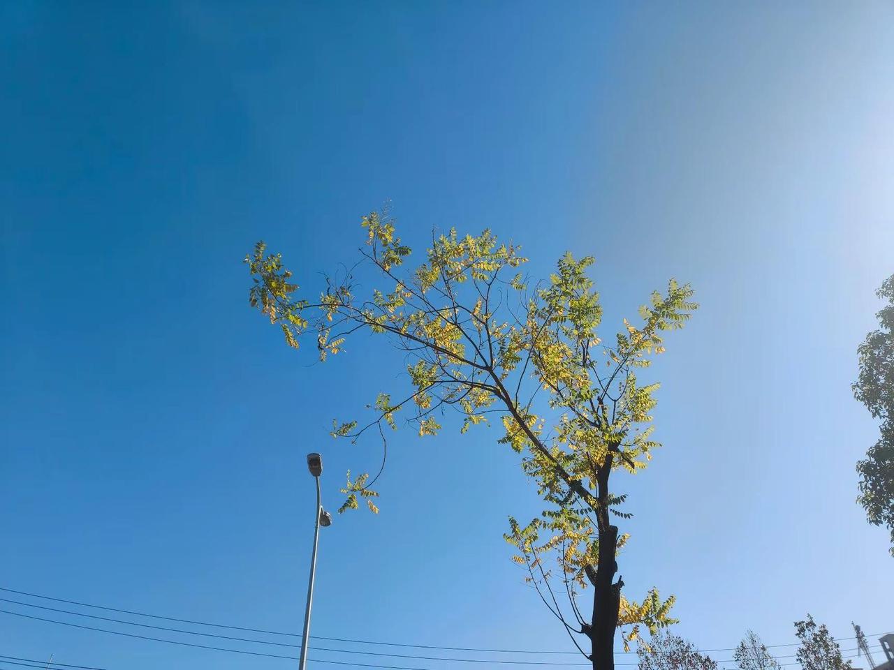 我最喜欢的一张照片，召唤@罗志祥@罗志祥 蓝色的天空 大自然美景 自然风景 风起