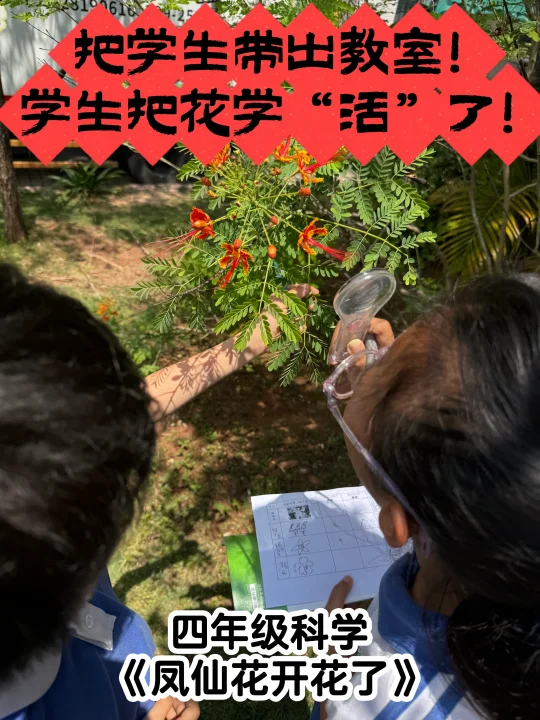 带着自己的好奇，研究自己的“课题”！