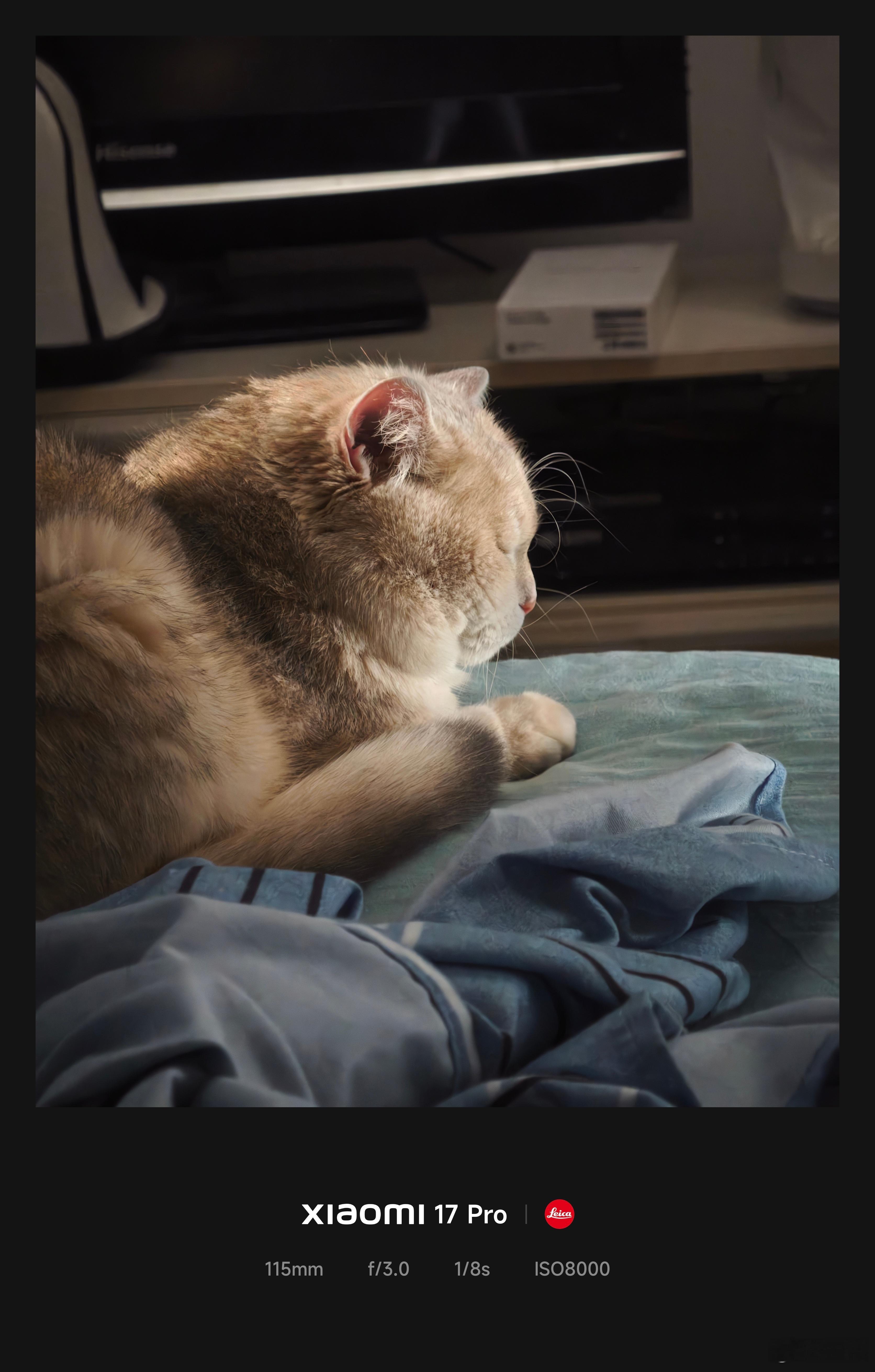 今日冬至，你们那里吃什么？成都吃羊肉汤，我现在没资格吃需要减肥