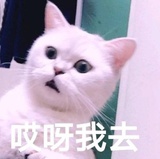 妍晴吹教育