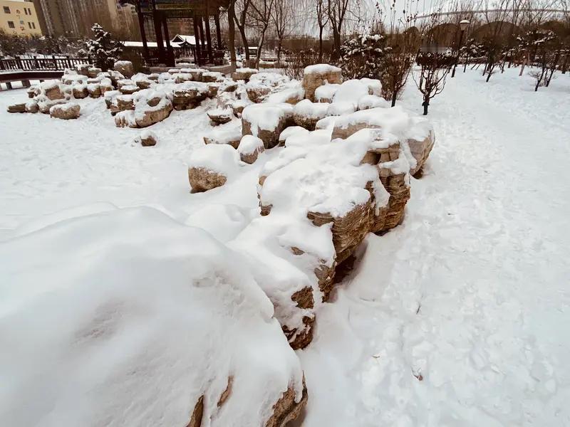 形容雪大，古人着实很有一套。宋之问云“不知庭霰今朝落，疑是林花昨夜开”，以为昨夜