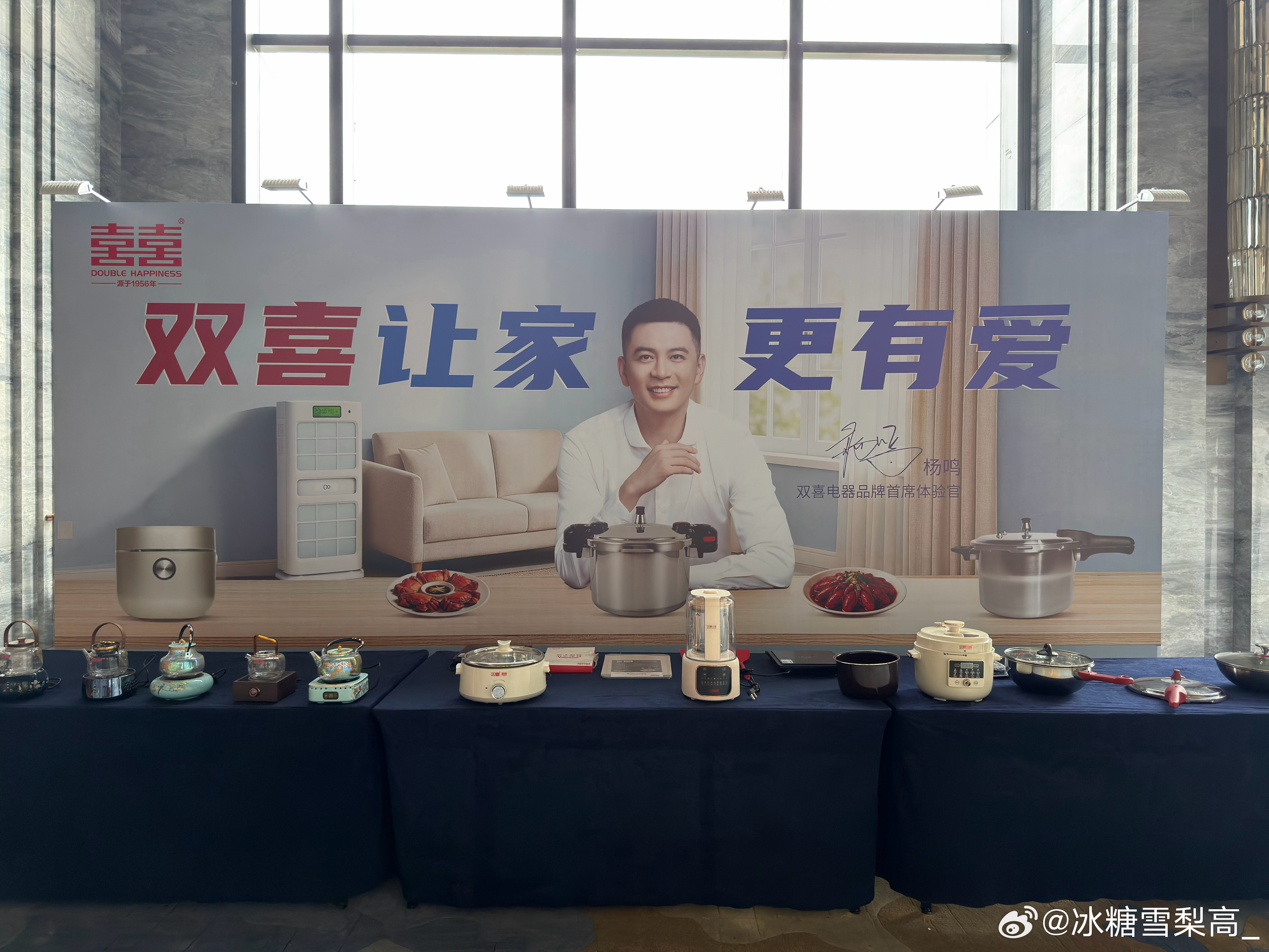 杨鸣  明天见 