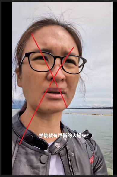 台北，绿蛙组织人员，去瑞士世界卫生大会现场周边闹访，被当地给“收拾”了前年是江启