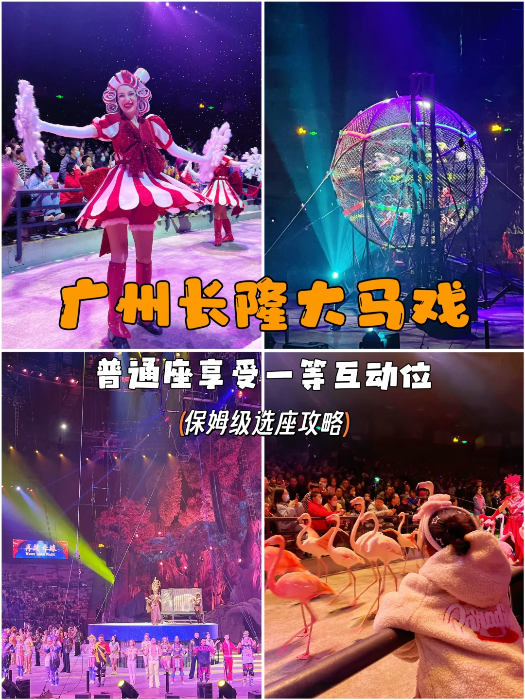 长隆大马戏保姆级选座攻略❗️锁住蕞佳普通座