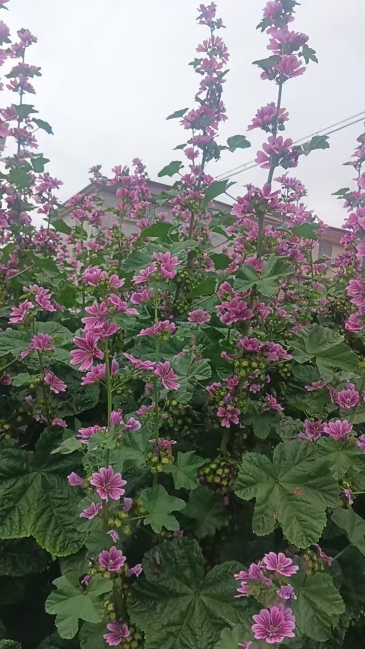 阳光信用每日‎一善阳光信用 能力配不上野心，是所有烦扰的根源。这个世界是公平的，