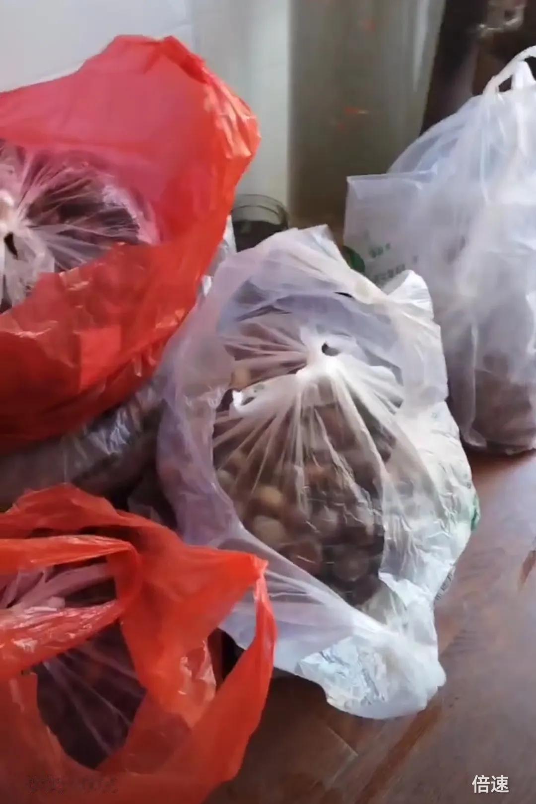 愉快的假期就要结束了，这几天忙着剥栗子。
姊妹从老家诸城发来一百斤板栗，我们几个